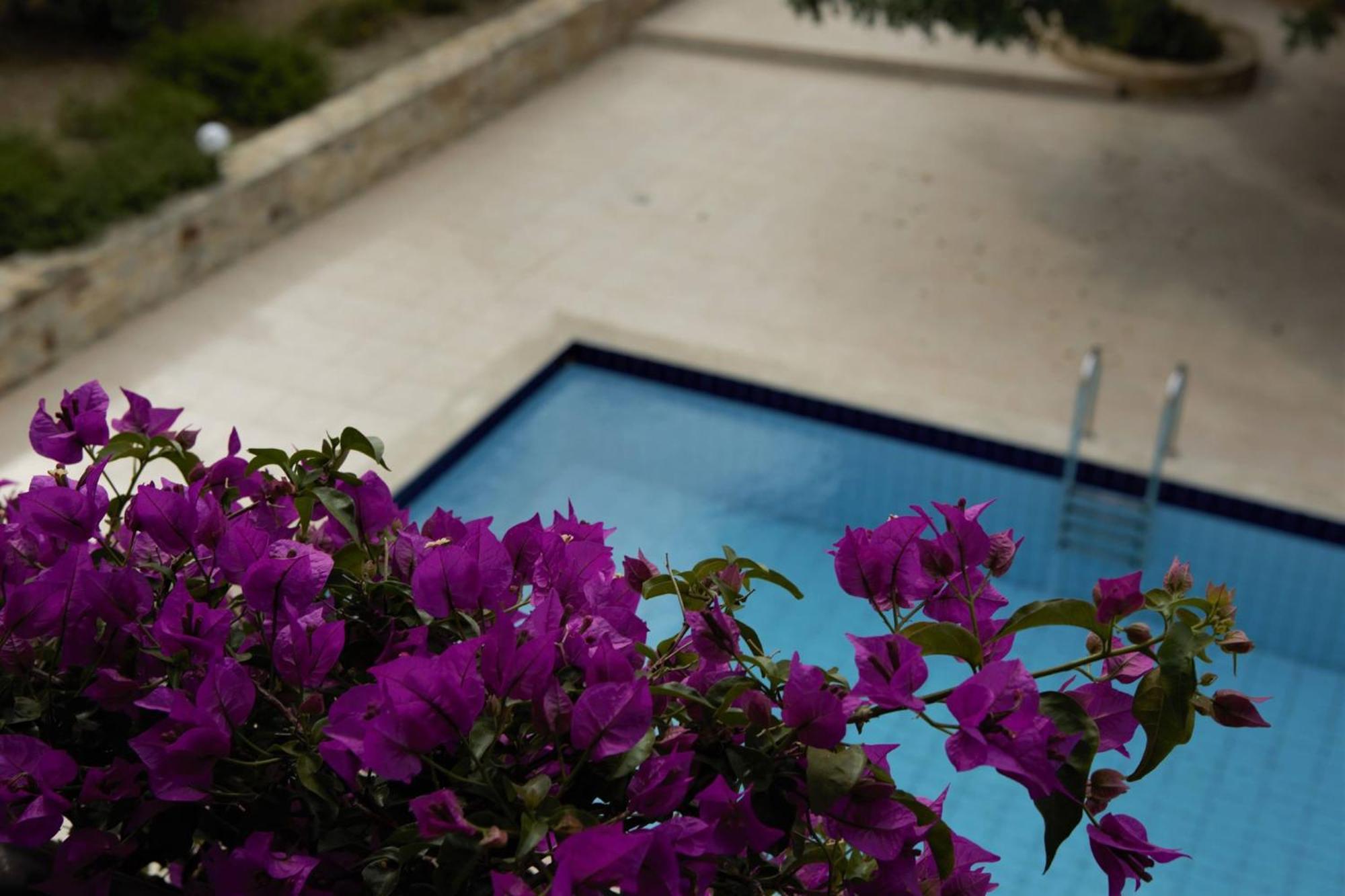 Douliana Villas Kültér fotó